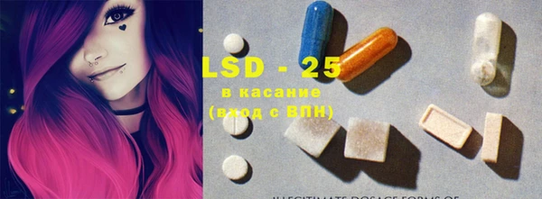 ECSTASY Богданович