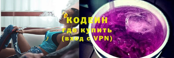 ECSTASY Богданович